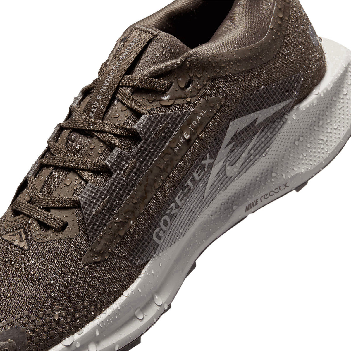 Nike Pegasus Trail 5 GORE-TEX