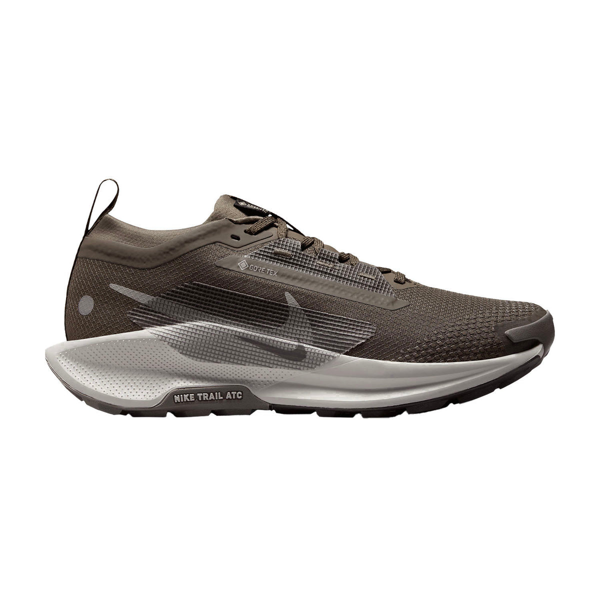 Nike Pegasus Trail 5 GORE-TEX
