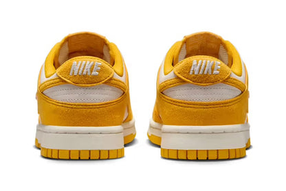 NIKE DUNK LOW WMNS